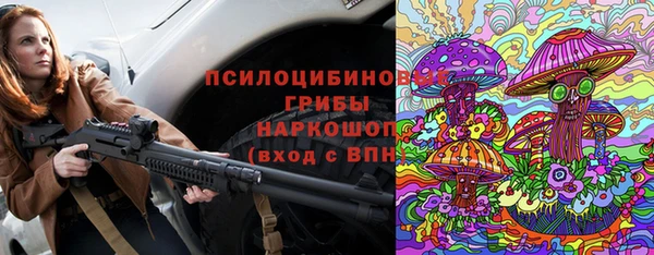 дживик Балахна