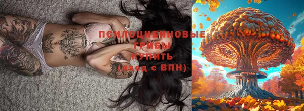 МДМА Арсеньев