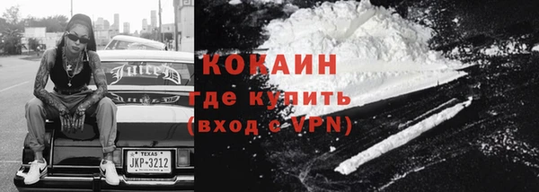 прущие грибы Аркадак